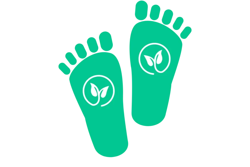Carbon Footprint Reduction image-2