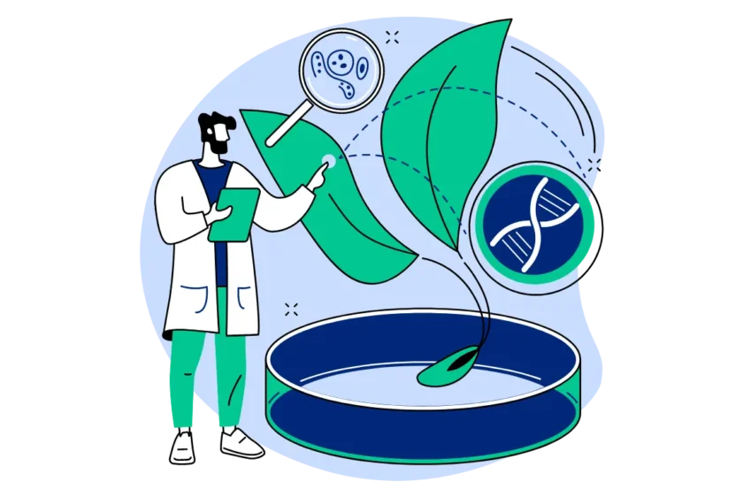 Genetic Modification for Enhanced Crops image