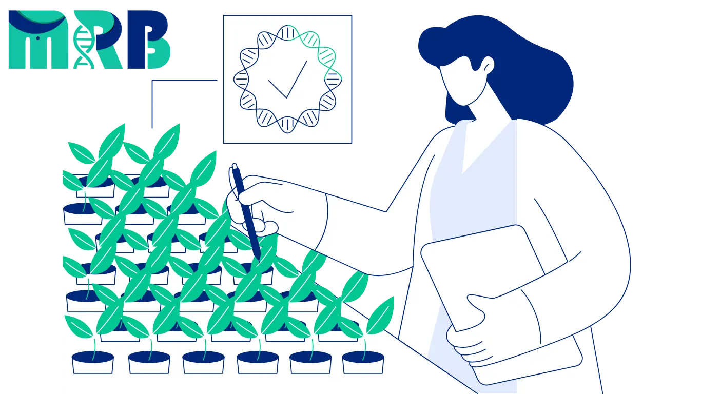 Genetic Modification for Enhanced Crops icon